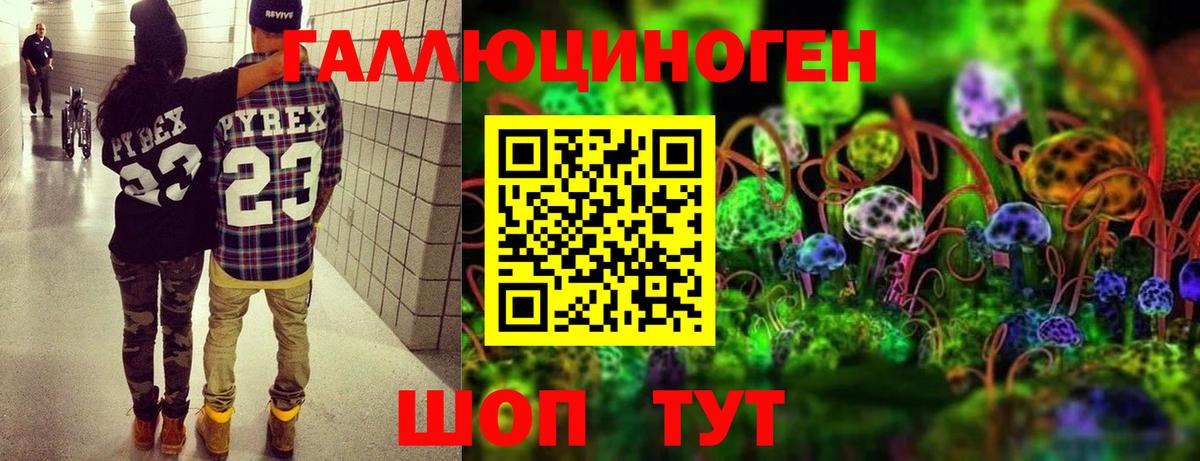 цены наркотик  Вход с VPN  Ачхой-Мартан  Псилоцибиновые грибы MAGIC MUSHROOMS 